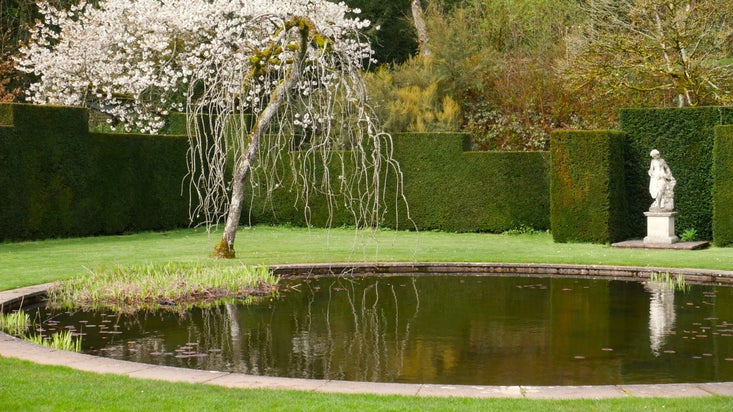 The Pond Garden with cherry blossom at Knightshayes, Devon